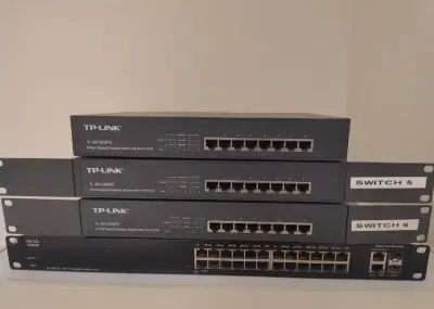 Poe Switch