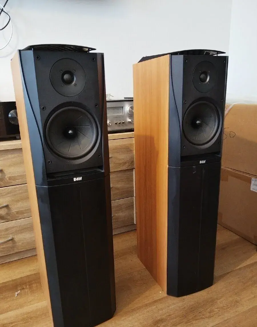 Bowers & Wilkins (B&W) DM305