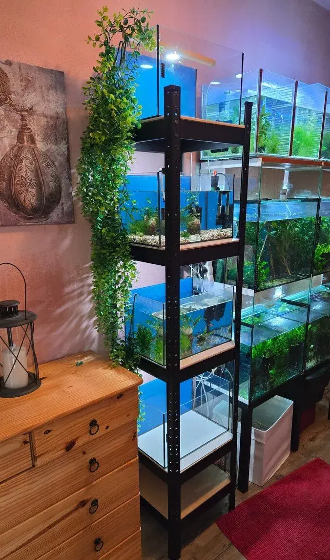 Akvarijní stojan , krevetkárium