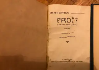 Román, Starožitná kniha 1919, Elinor Glyn Proč?