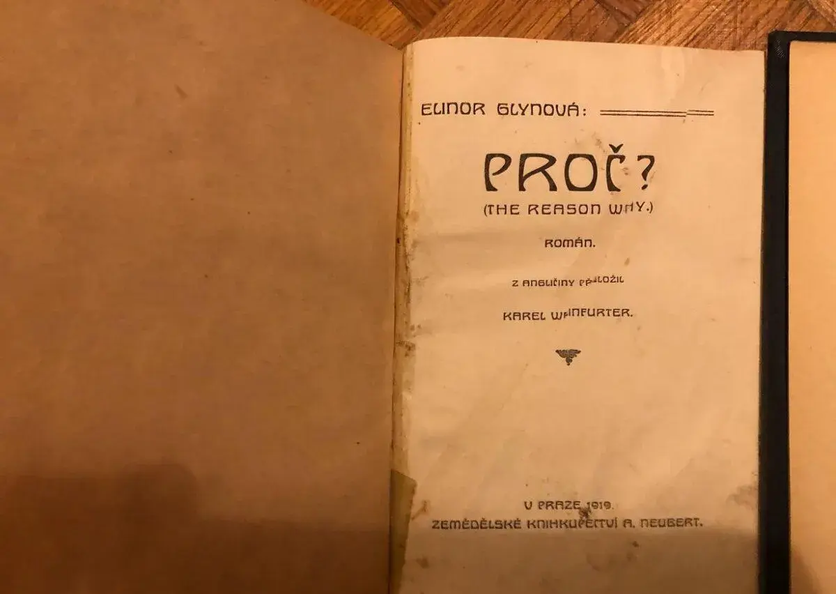 Román, Starožitná kniha 1919, Elinor Glyn Proč?