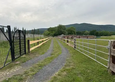 Pastevní ustájení od jara 2027 🌿🐴