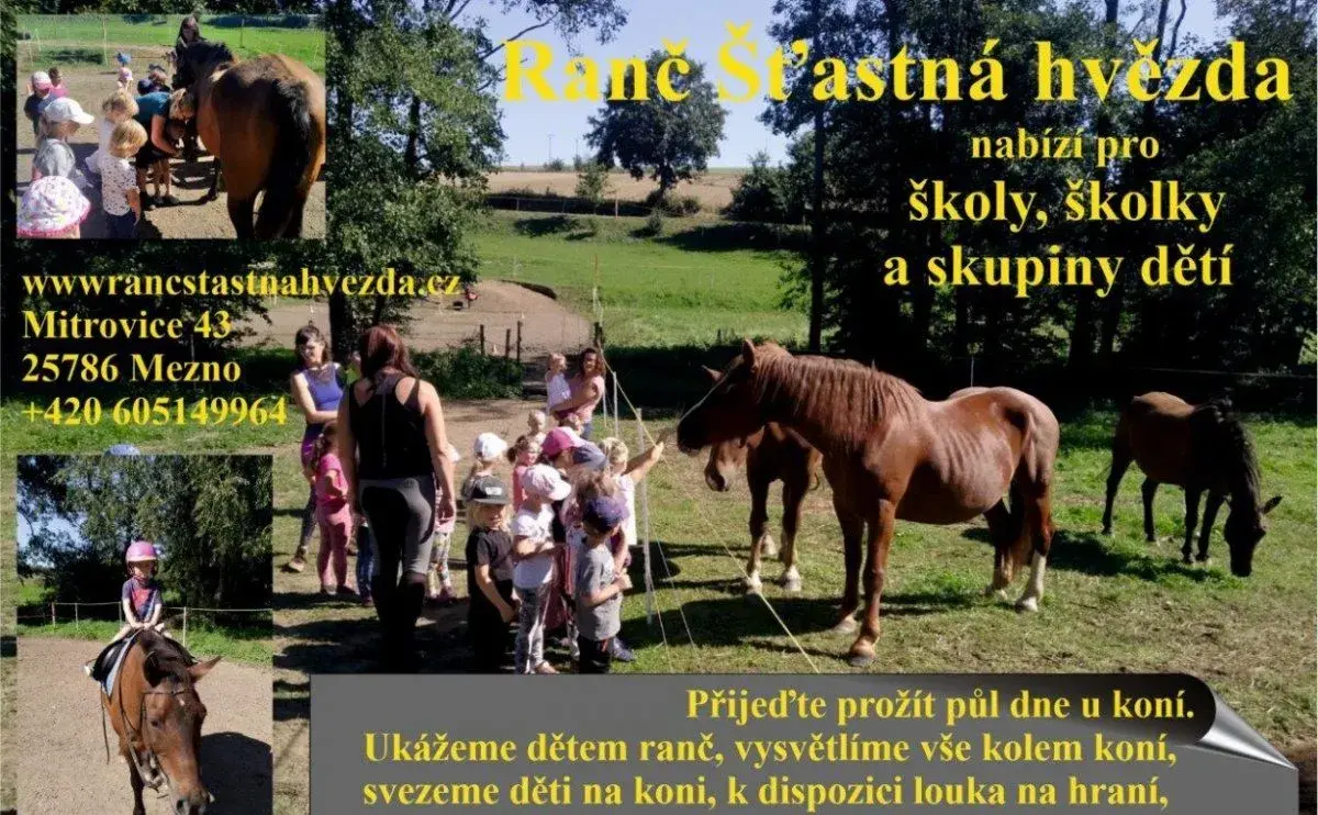 Den u koní pro školy a školky