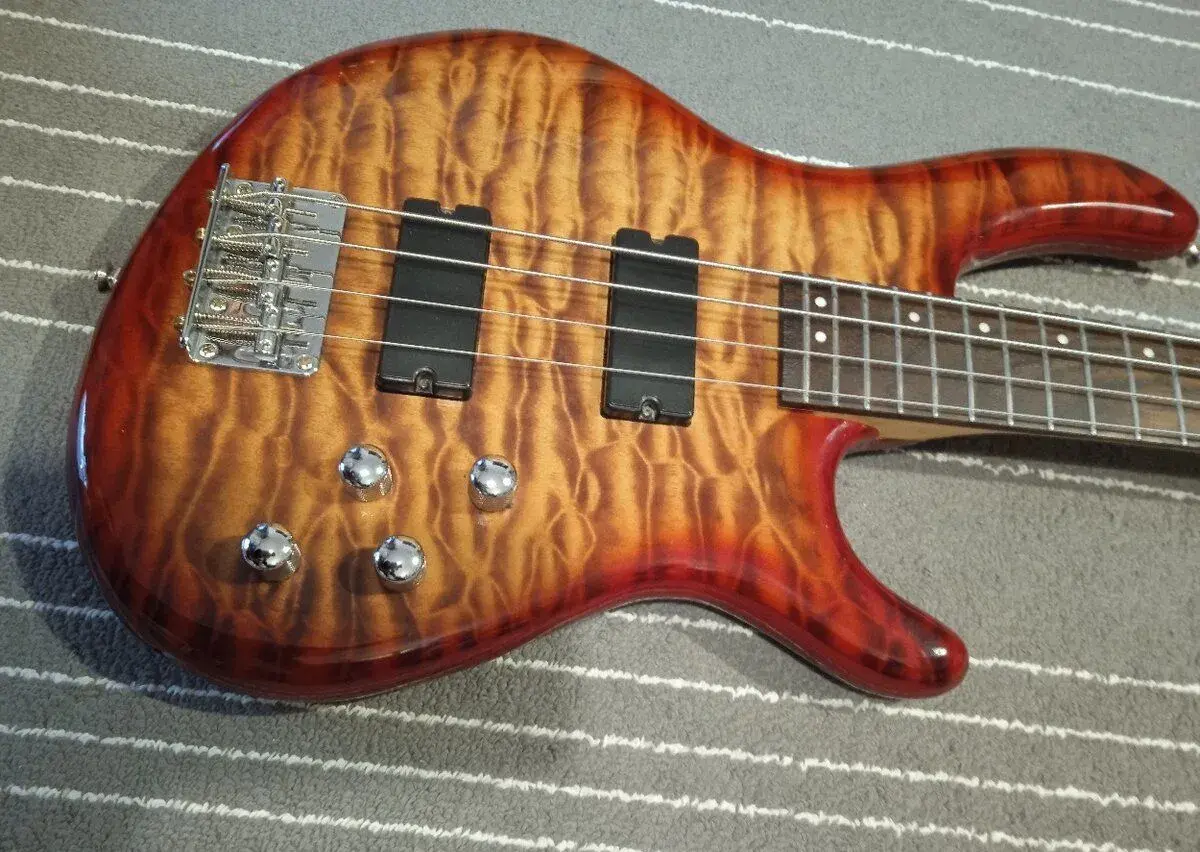 CORT DLX Plus