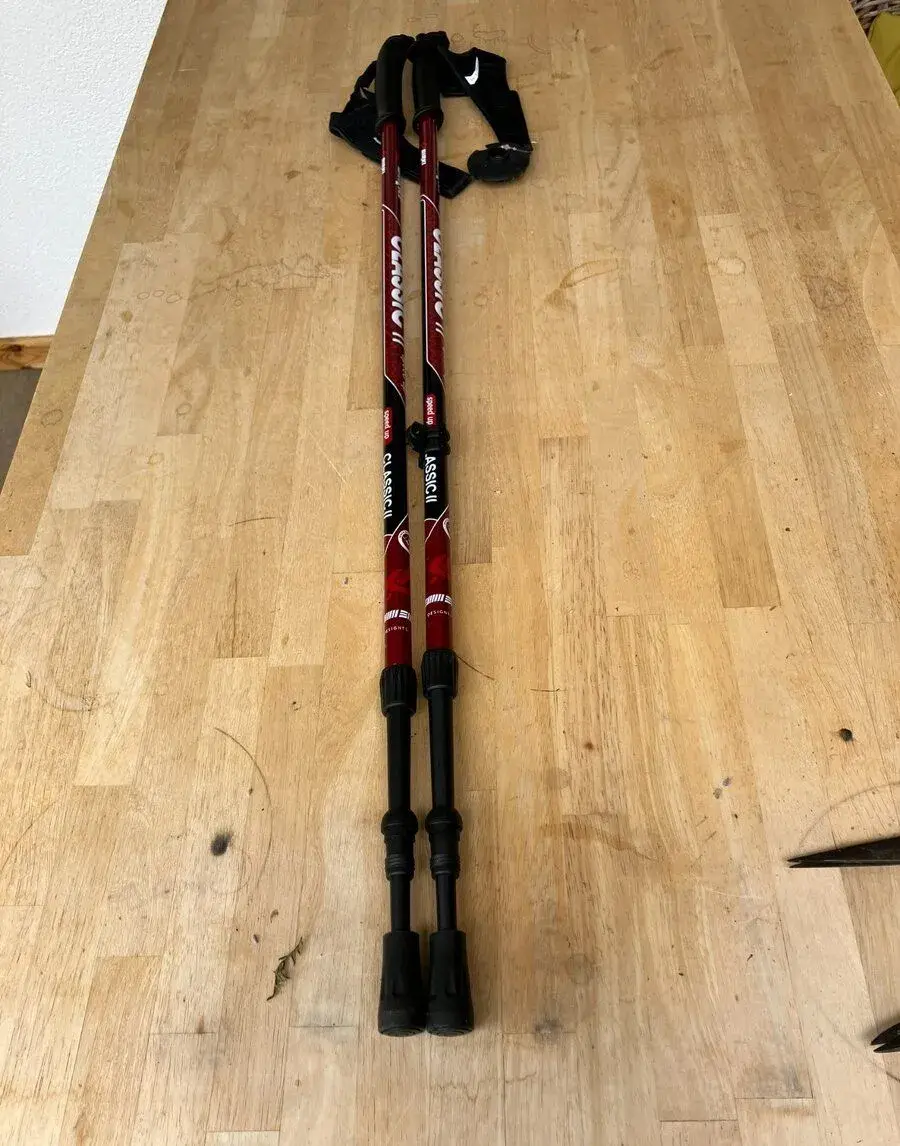 hole Nordic Walking