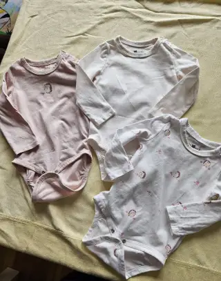 Set body
