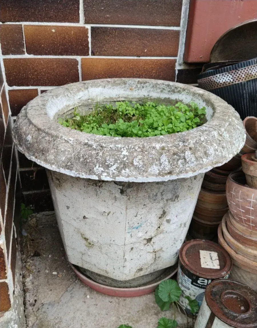Retro betonové květináče (2 ks) masivní venkovni
