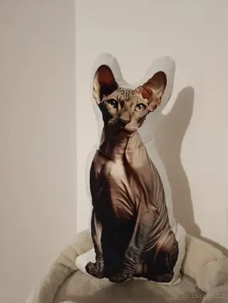 Polštář 3d Sphynx