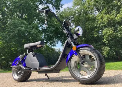 NITRO SCOOTERS CLASSIC 3500 EEC 3500 W