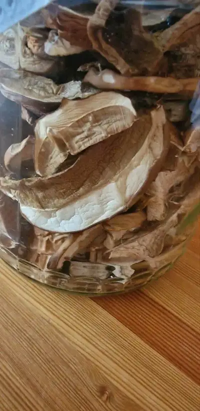 SUŠENÉ HŘIBY, KOZÁKY, KOVÁŘE, Z LESŮ Z PODKRKONOŠÍ