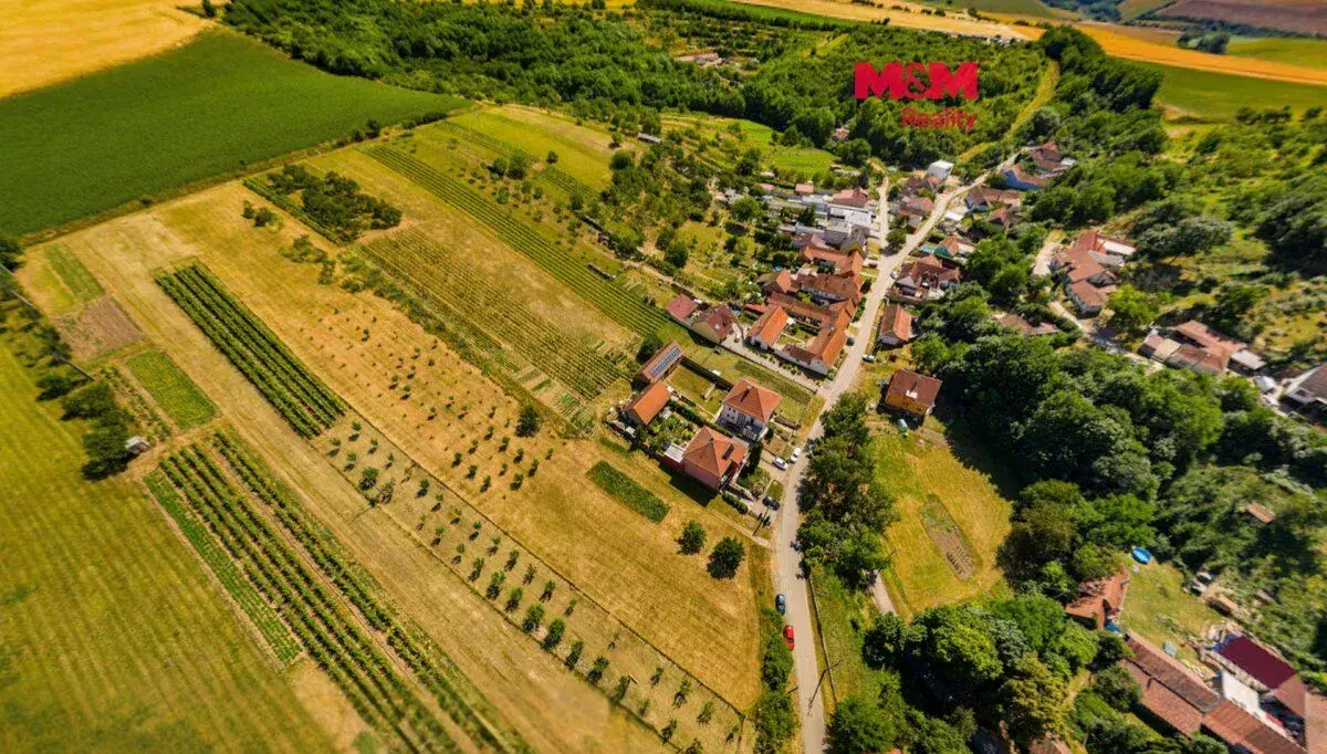 Prodej pozemku k bydlení, 7835 m², Borkovany