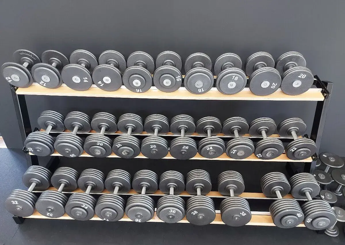 Profi pevné jednoruční činky 2-100kg- NOVÉ