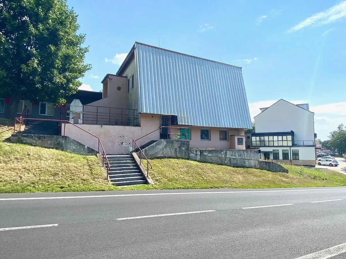 Pronájem nebytového prostoru 400m2 Meziboří