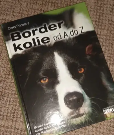 Border kolie od A do Z