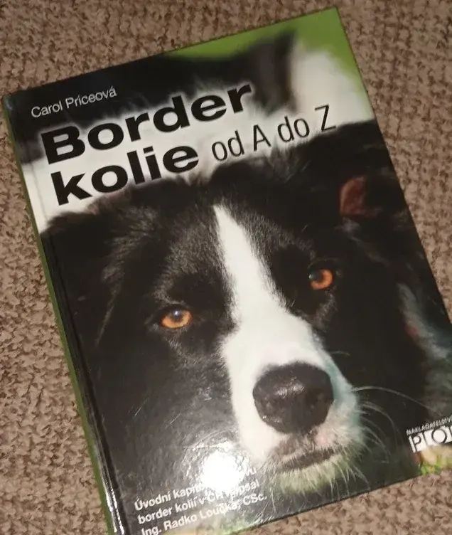 Border kolie od A do Z