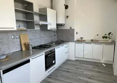 Pronájem bytu 2+1, Vinohradská 976, Litvínov