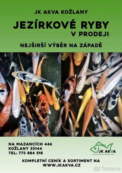 Prodej jezirkové ryby nové druhy