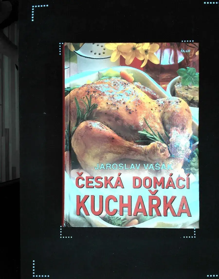 Česká domácí kuchyně