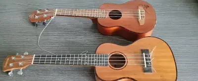 Ukulele