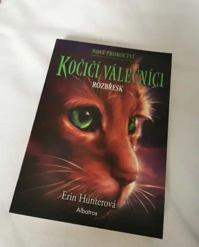 Kniha Kočičí válečníci - Rozbřesk
