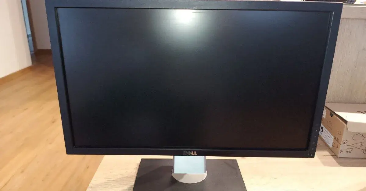 Dell G2410