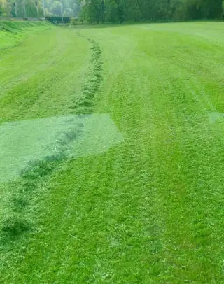 Dobrý den schanime pole a louky do najmu