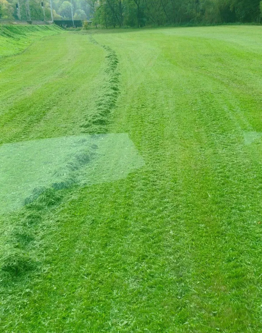 Dobrý den schanime pole a louky do najmu