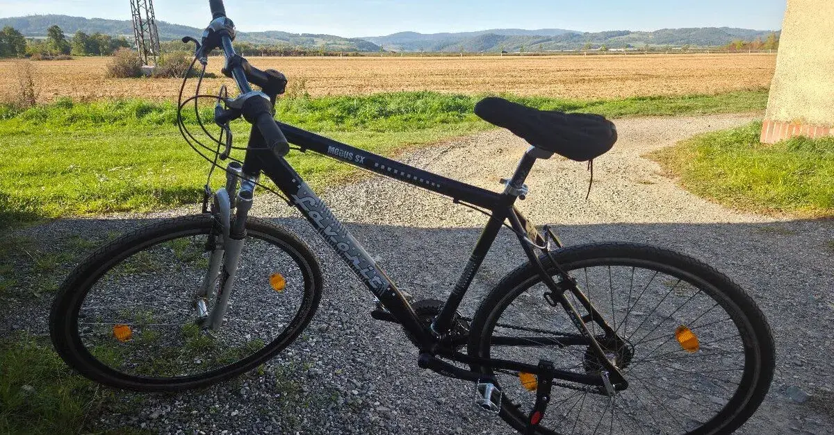 Jízdní kolo Favorit Modus SX 3x7 28"