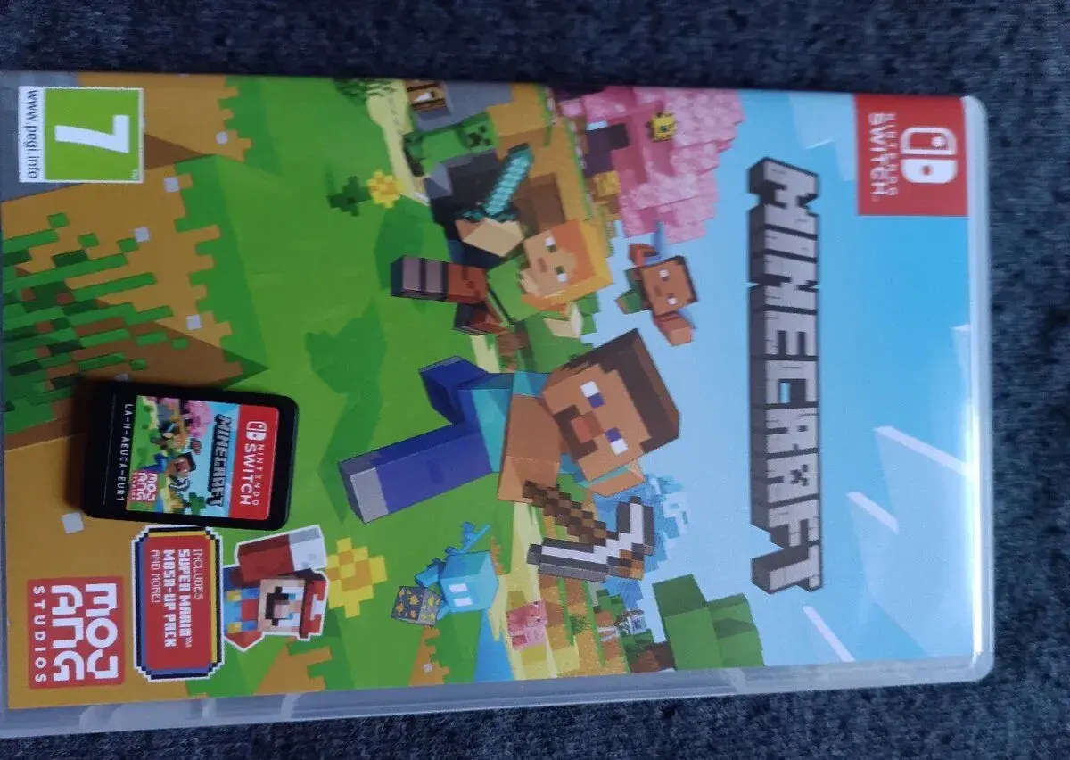 Nintendo switch Minecraft