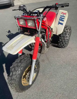yamaha 250 tri-z YTZ250