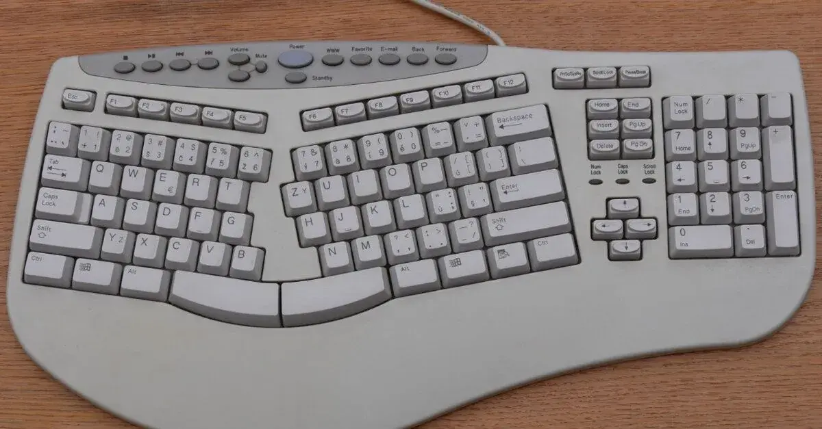 ergonomická klávesnice LiteOn, PS/2