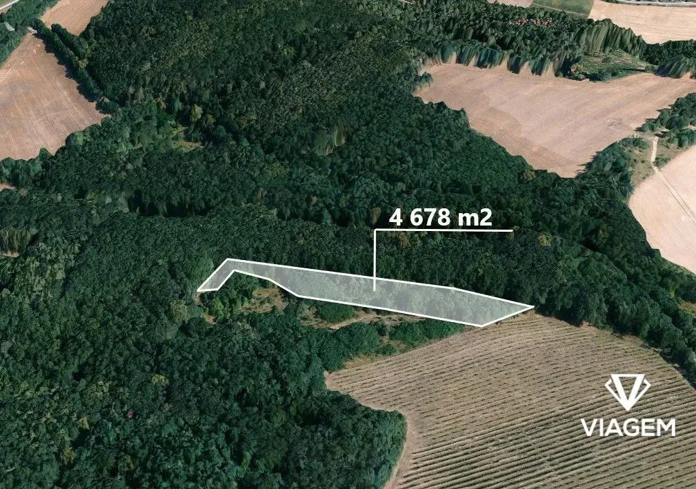 Les 4 678 m², Podíl 33 % o výměře 1 559 m²