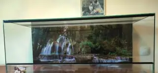 LTerárium 80x40x40 Síla skla 5 mm.Polyuretanové pozadi. Vhod