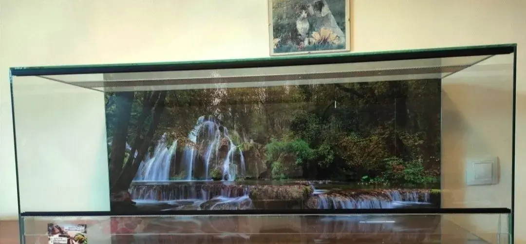 LTerárium 80x40x40 Síla skla 5 mm.Polyuretanové pozadi. Vhod