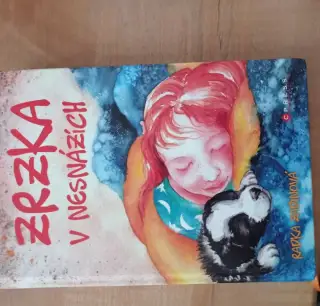 ZRZKA V NESNÁZÍCH, dívčí román