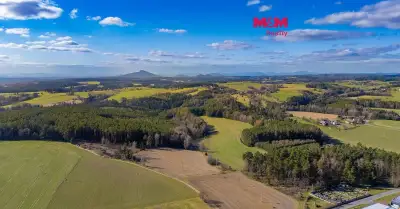 Prodej lesa, 23199 m², Všelibice