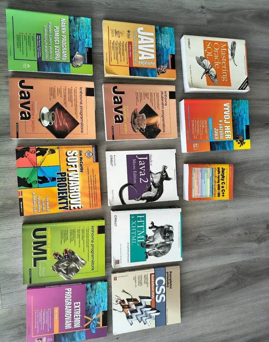 Starsi knihy o programovani