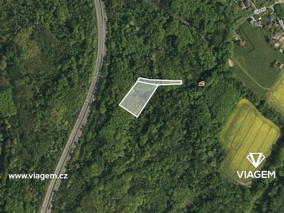 Pole 2 000 m², Podíl 83 % o výměře 1 667 m²