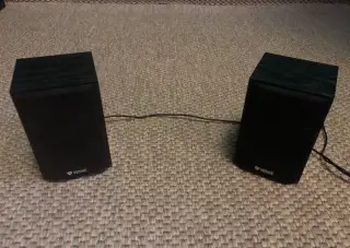 Dřevěné PC USB repro bedničky