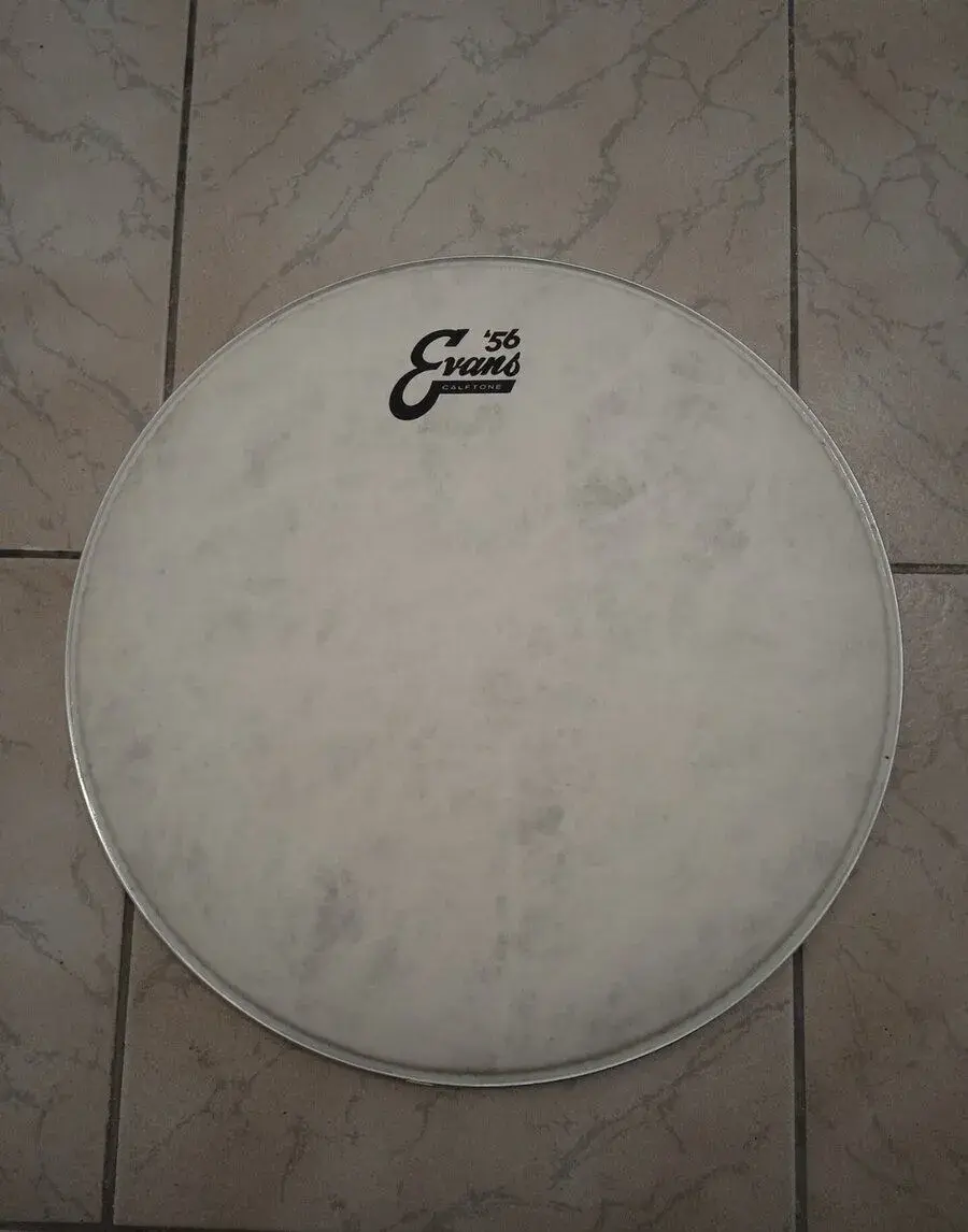 EVANS Calftone 16" Bass Drum