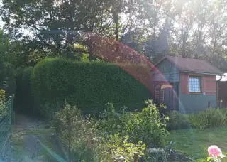 Prodám chatu se zahradou