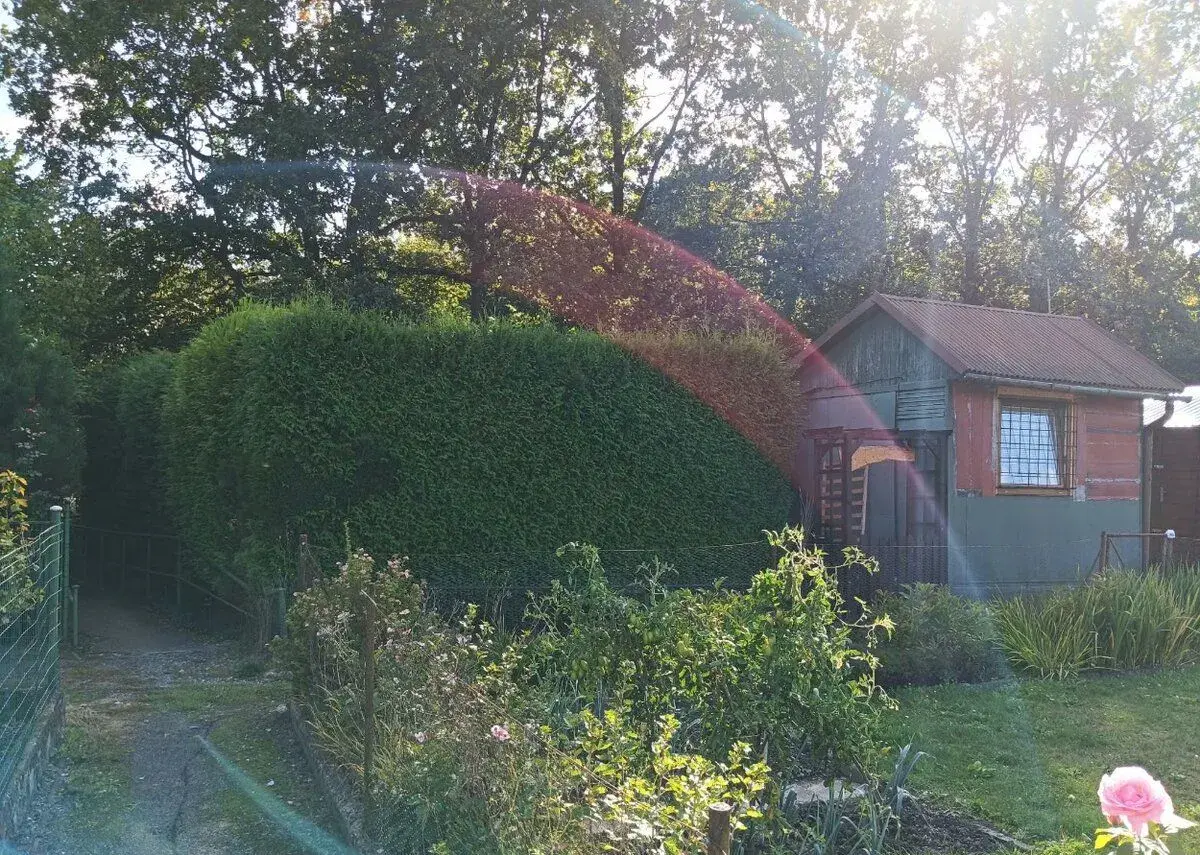 Prodám chatu se zahradou