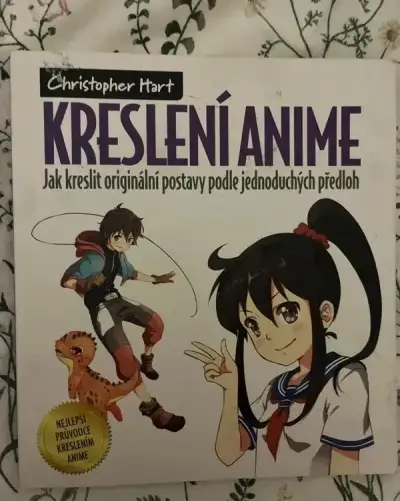 Průvodce kreslením anime