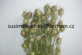 Velký výběr sušených květin - Černucha, Slaměnky, Smilek