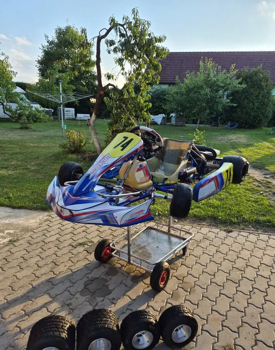 Motokára Rotax max senior