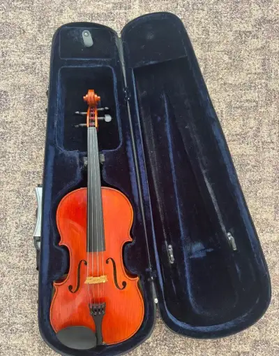 Viola