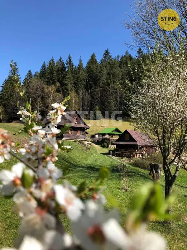 VALAŠSKÉ CHALUPY HUTISKO , 136083