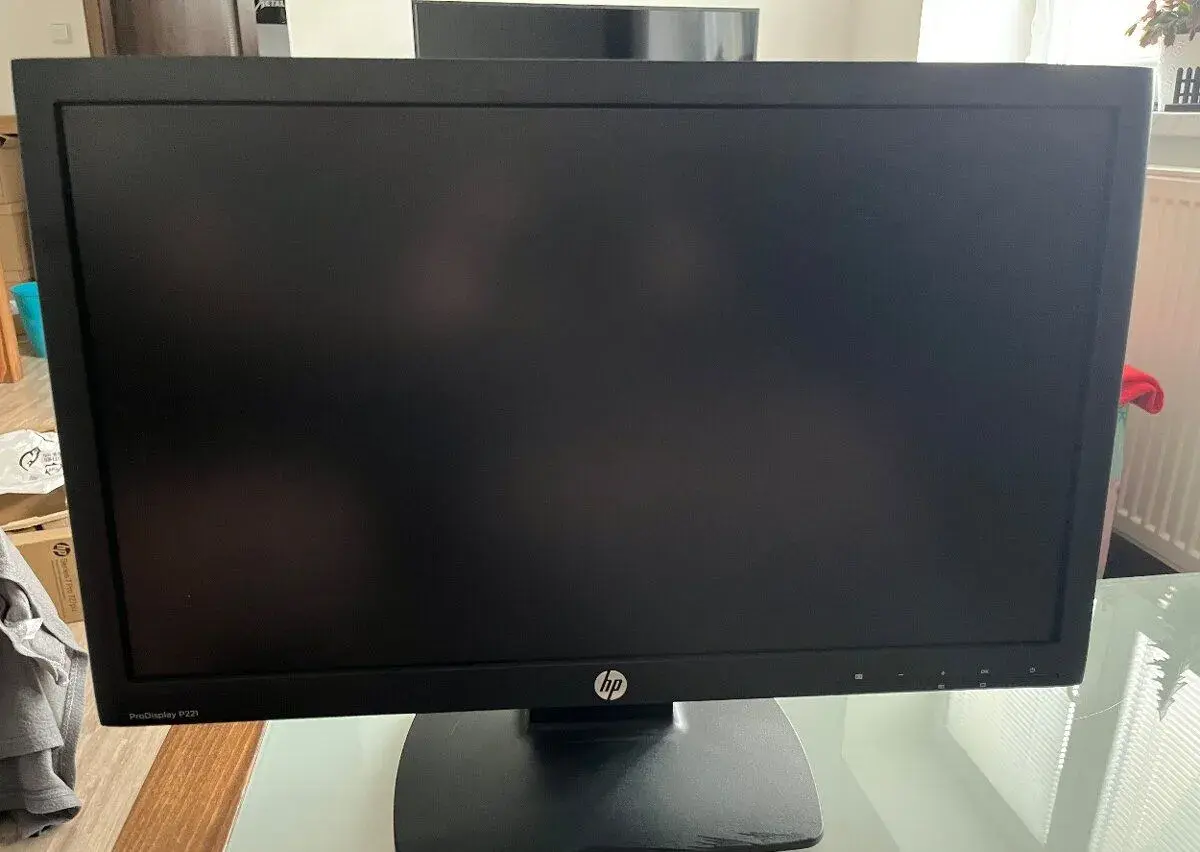 HP ProDisplay P221