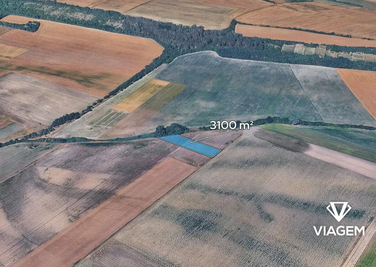 Pole 3 100 m², Podíl 50 % o výměře 1 550 m²