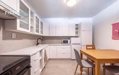 Prodej bytu 2+kk, Spodní, Brno